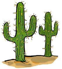 Cactus Twins Pic